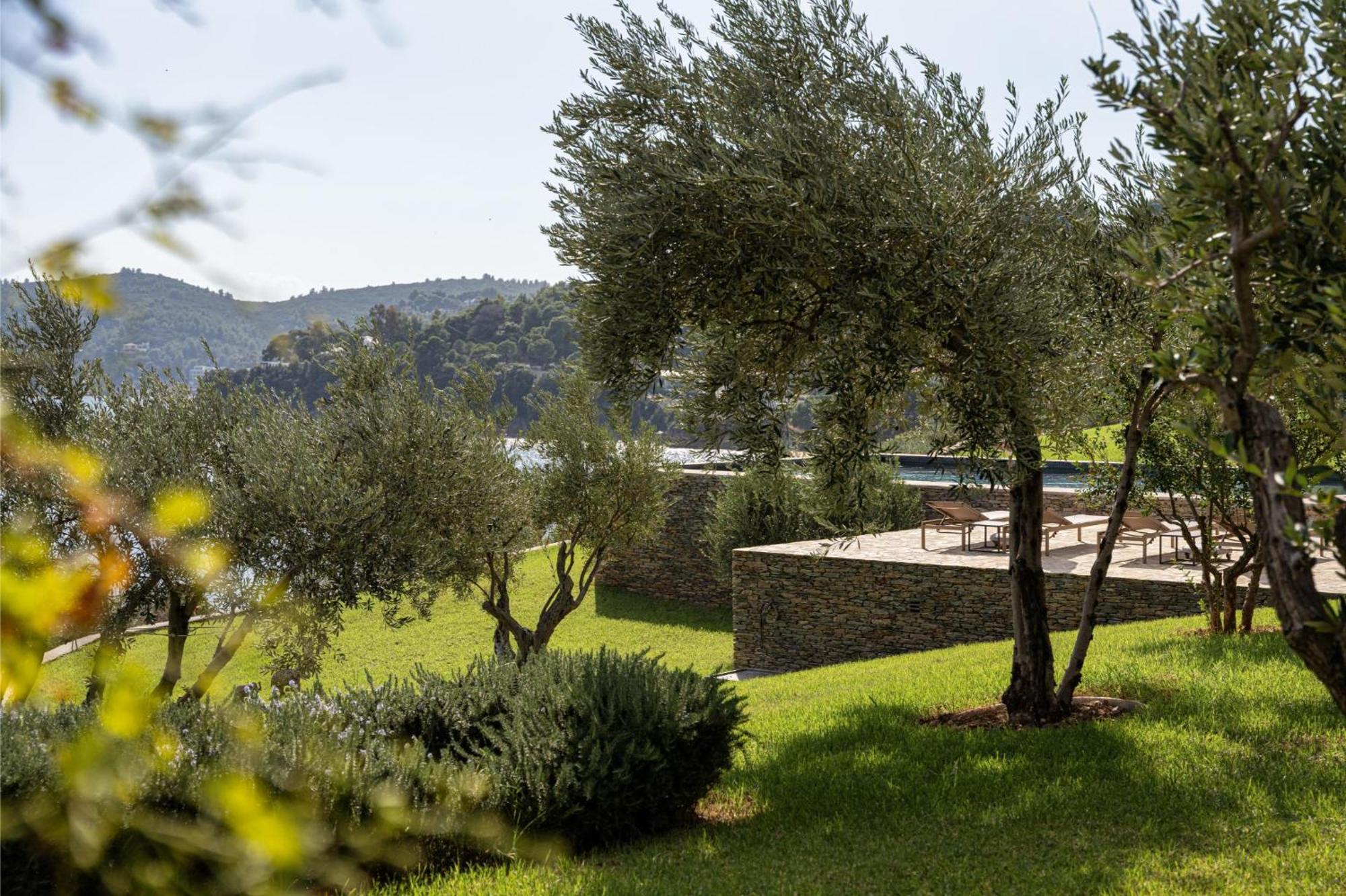 Pelagoon Skiathos Achladies  Zimmer foto
